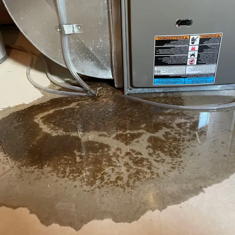 Pipe Burst and Leak Restoration in Ritzville, WA