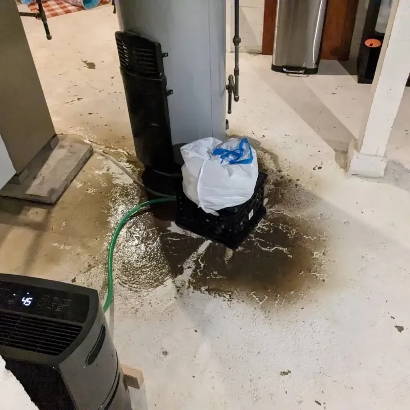 Sewage Backup Cleanup Service in Ritzville, WA